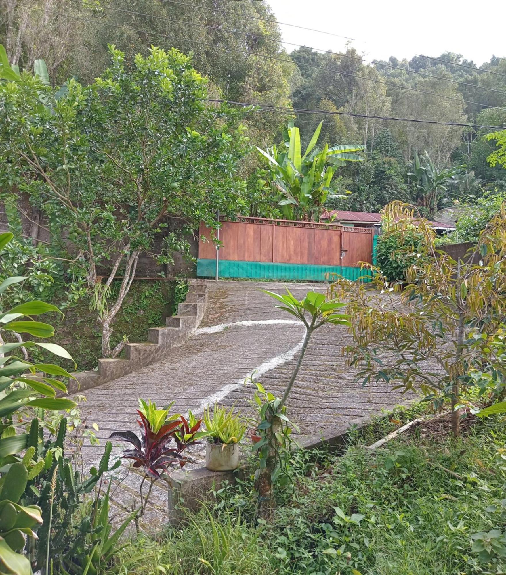 Kanaya Homestay & Warung Heaven Munduk エクステリア 写真